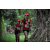 Team 11 / Raid Amazones Cambodge - J1 : Trek