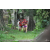 Team 109 / Raid Amazones Cambodge - J1 : Trek