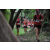 Team 122 / Raid Amazones Cambodge - J1 : Trek
