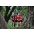 Team 150 / Raid Amazones Cambodge - J1 : Trek