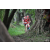 Team 134 / Raid Amazones Cambodge - J1 : Trek