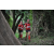 Team 133 / Raid Amazones Cambodge - J1 : Trek