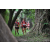 Team 174 / Raid Amazones Cambodge - J1 : Trek