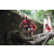Team 135 / Raid Amazones Cambodge - J1 : Trek