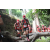 Team 137 / Raid Amazones Cambodge - J1 : Trek