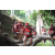 Team 157 / Raid Amazones Cambodge - J1 : Trek