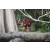 Team 175 / Raid Amazones Cambodge - J1 : Trek