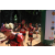 Team 11 / Raid Amazones Cambodge - J1 : Trek