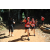 Team 16 / Raid Amazones Cambodge - J1 : Trek