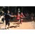 Team 43 / Raid Amazones Cambodge - J1 : Trek