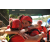 Team 119 / Raid Amazones Cambodge - J1 : Trek