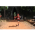 Team 28 / Raid Amazones Cambodge - J1 : Trek