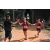 Team 155 / Raid Amazones Cambodge - J1 : Trek