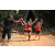 Team 180 / Raid Amazones Cambodge - J1 : Trek
