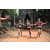 Team 146 / Raid Amazones Cambodge - J1 : Trek