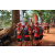 Team 146 / Raid Amazones Cambodge - J1 : Trek