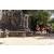 Team 61 / Raid Amazones Cambodge - J1 : Trek