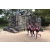 Team 184 / Raid Amazones Cambodge - J1 : Trek