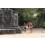 Team 114 / Raid Amazones Cambodge - J1 : Trek