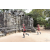 Team 117 / Raid Amazones Cambodge - J1 : Trek
