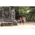 Team 116 / Raid Amazones Cambodge - J1 : Trek