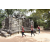 Team 118 / Raid Amazones Cambodge - J1 : Trek