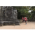 Team 165 / Raid Amazones Cambodge - J1 : Trek