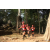 Raid Amazones Cambodge - Ambiance J1 Trek
