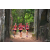 Team 122 / Raid Amazones Cambodge - J1 : Trek