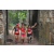 Team 168 / Raid Amazones Cambodge - J1 : Trek