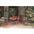 Team 129 / Raid Amazones Cambodge - J1 : Trek