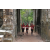 Team 171 / Raid Amazones Cambodge - J1 : Trek