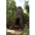 Team 118 / Raid Amazones Cambodge - J1 : Trek