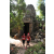Team 173 / Raid Amazones Cambodge - J1 : Trek