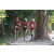 Team 111 / Raid Amazones Cambodge - J1 : Trek