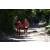 Team 46 / Raid Amazones Cambodge - J1 : Trek