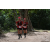 Team 116 / Raid Amazones Cambodge - J1 : Trek
