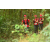 Team 104 / Raid Amazones Cambodge - J1 : Trek