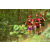 Team 109 / Raid Amazones Cambodge - J1 : Trek