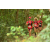 Team 111 / Raid Amazones Cambodge - J1 : Trek