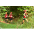 Team 166 / Raid Amazones Cambodge - J1 : Trek