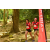 Team 40 / Raid Amazones Cambodge - J1 : Trek