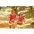 Team 52 / Raid Amazones Cambodge - J1 : Trek