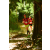 Team 19 / Raid Amazones Cambodge - J1 : Trek