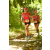 Team 46 / Raid Amazones Cambodge - J1 : Trek