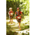 Team 25 / Raid Amazones Cambodge - J1 : Trek
