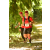 Team 42 / Raid Amazones Cambodge - J1 : Trek