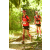 Team 43 / Raid Amazones Cambodge - J1 : Trek