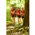 Team 152 / Raid Amazones Cambodge - J1 : Trek