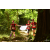 Team 110 / Raid Amazones Cambodge - J1 : Trek